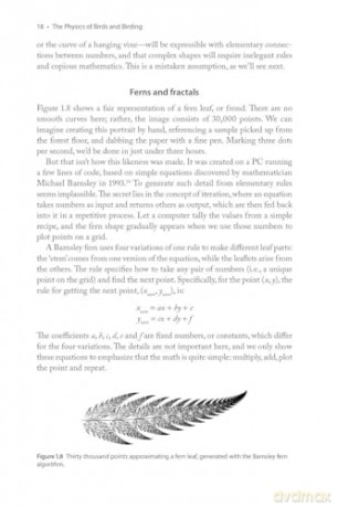 The Physics of Birds and Birding: The Sounds, Colors and Movements of Birds, and Our Tools for Watching Them - Michael Hurben [KSIĄŻKA]