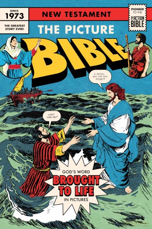 The Picture Bible New Testament - Iva Hoth [KSIĄŻKA]