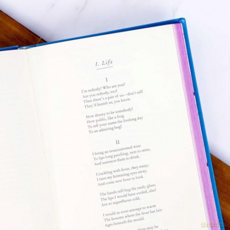 The Poetry of Emily Dickinson (Word Cloud Classics) - Emily Dickinson [KSIĄŻKA]