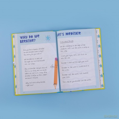 The Positive Doodle Diary (Positive Planners) - Ali McDowall [KSIĄŻKA]