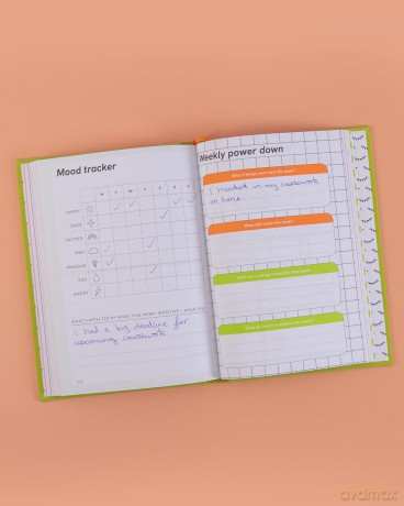 The Positive Student Planner (Positive Planners) - Ali Bado [KSIĄŻKA]
