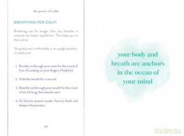 The Power of Calm: Find Your Inner Peace - Dr Sarah Jane Arnold [KSIĄŻKA]