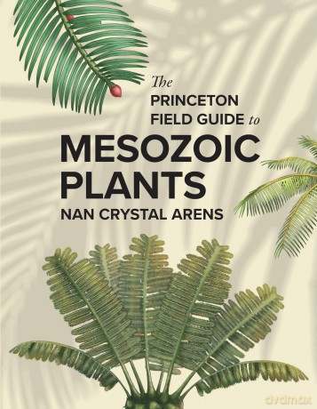 The Princeton Field Guide to Mesozoic Plants (Princeton Field Guides) - Nan Crystal Arens [KSIĄŻKA]