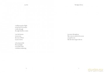 The Quiet After: Poems of Healing Silence (The Healing Verses) - r.h. Sin [KSIĄŻKA]