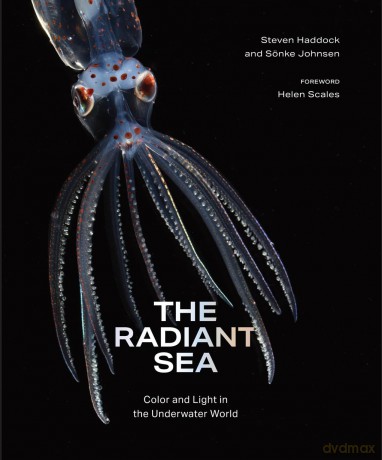 The Radiant Sea: Color and Light In the Underwater World - Steven Haddock [KSIĄŻKA]