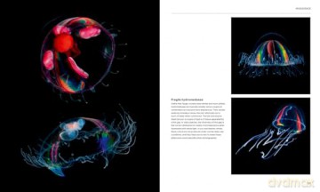 The Radiant Sea: Color and Light In the Underwater World - Steven Haddock [KSIĄŻKA]