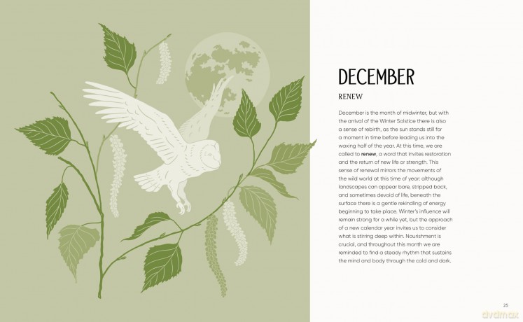 The Rewilding Yearbook: A 12-month journey to discover the wild within you - Eleanor Cheetham [KSIĄŻKA]