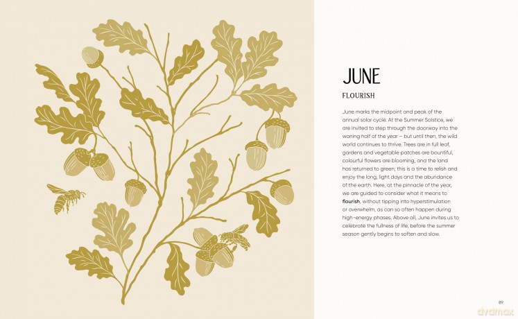 The Rewilding Yearbook: A 12-month journey to discover the wild within you - Eleanor Cheetham [KSIĄŻKA]