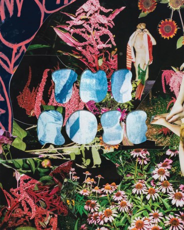 The Rose: A Circular Genealogy of Collage: Curated by Justine Kurland - Justine Kurland [KSIĄŻKA]