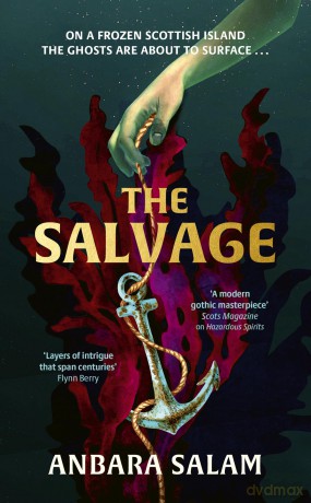 The Salvage: 'A gothic tale with a powerful sense of place and an eerie atmosphere' Sunday Times - Anbara Salam [KSIĄŻKA]