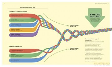 The Science of Reading: The Brain Science, Language Development, and Phonemic Awareness Behind Literacy - Dk [KSIĄŻKA]