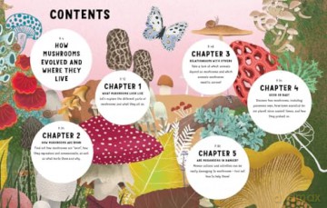 The Secrets of Mushrooms - Ginevra Picoco [KSIĄŻKA]