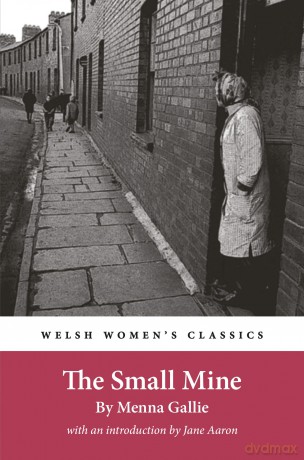 The Small Mine - Menna Gallie [KSIĄŻKA]