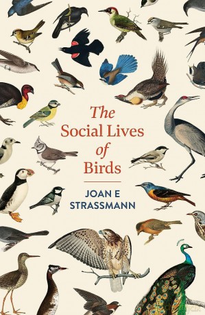 The Social Lives of Birds: a must-read for bird and nature lovers - Joan E. Strassmann [KSIĄŻKA]