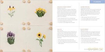 The Stitched Landscape: An Embroidery Field Guide to the Textures, Colors, and Lines of the Natural World - Anna Hultin [KSIĄŻKA]