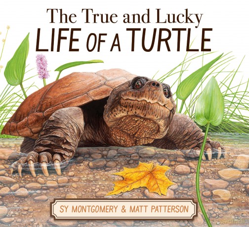 The True and Lucky Life of a Turtle - Sy Montgomery [KSIĄŻKA]