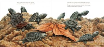 The True and Lucky Life of a Turtle - Sy Montgomery [KSIĄŻKA]
