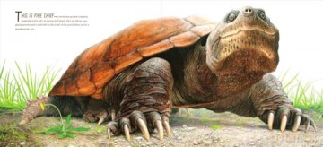 The True and Lucky Life of a Turtle - Sy Montgomery [KSIĄŻKA]