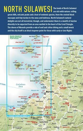 The Ultimate Guide to Diving in Indonesia: Explore the Tropical Seas with the World's Greatest Marine Biodiversity - Sarah Ann Wormald [KSIĄŻKA]