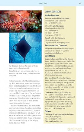 The Ultimate Guide to Diving in Indonesia: Explore the Tropical Seas with the World's Greatest Marine Biodiversity - Sarah Ann Wormald [KSIĄŻKA]