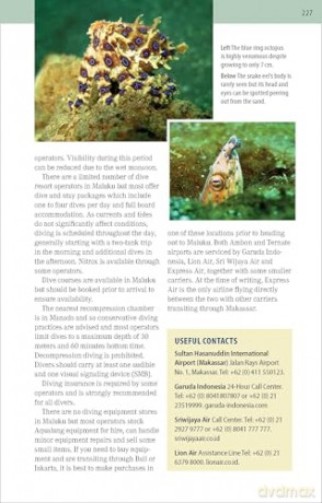 The Ultimate Guide to Diving in Indonesia: Explore the Tropical Seas with the World's Greatest Marine Biodiversity - Sarah Ann Wormald [KSIĄŻKA]