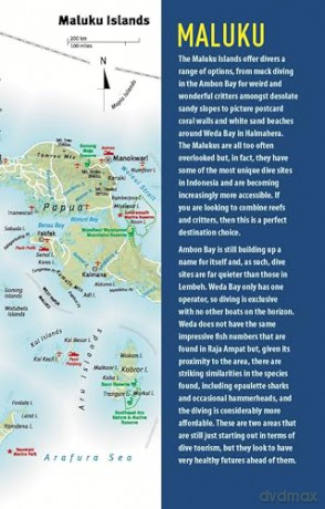 The Ultimate Guide to Diving in Indonesia: Explore the Tropical Seas with the World's Greatest Marine Biodiversity - Sarah Ann Wormald [KSIĄŻKA]