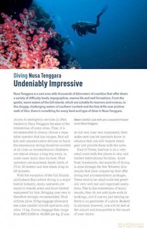 The Ultimate Guide to Diving in Indonesia: Explore the Tropical Seas with the World's Greatest Marine Biodiversity - Sarah Ann Wormald [KSIĄŻKA]