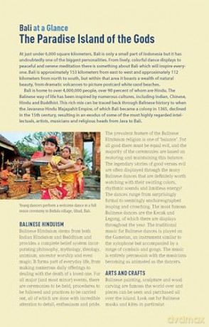 The Ultimate Guide to Diving in Indonesia: Explore the Tropical Seas with the World's Greatest Marine Biodiversity - Sarah Ann Wormald [KSIĄŻKA]