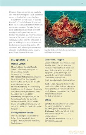 The Ultimate Guide to Diving in Indonesia: Explore the Tropical Seas with the World's Greatest Marine Biodiversity - Sarah Ann Wormald [KSIĄŻKA]