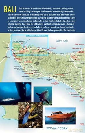 The Ultimate Guide to Diving in Indonesia: Explore the Tropical Seas with the World's Greatest Marine Biodiversity - Sarah Ann Wormald [KSIĄŻKA]