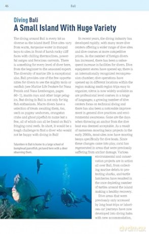 The Ultimate Guide to Diving in Indonesia: Explore the Tropical Seas with the World's Greatest Marine Biodiversity - Sarah Ann Wormald [KSIĄŻKA]