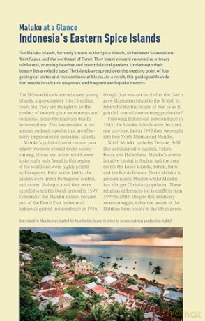 The Ultimate Guide to Diving in Indonesia: Explore the Tropical Seas with the World's Greatest Marine Biodiversity - Sarah Ann Wormald [KSIĄŻKA]