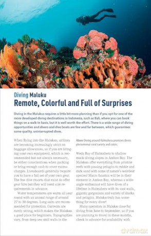 The Ultimate Guide to Diving in Indonesia: Explore the Tropical Seas with the World's Greatest Marine Biodiversity - Sarah Ann Wormald [KSIĄŻKA]