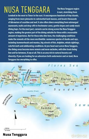 The Ultimate Guide to Diving in Indonesia: Explore the Tropical Seas with the World's Greatest Marine Biodiversity - Sarah Ann Wormald [KSIĄŻKA]