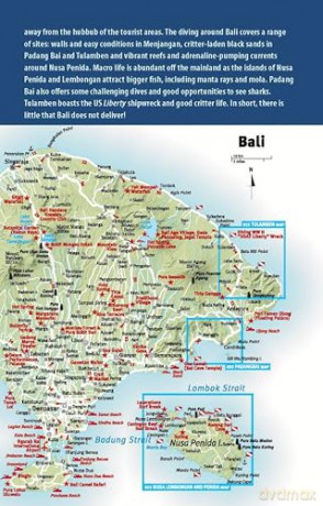The Ultimate Guide to Diving in Indonesia: Explore the Tropical Seas with the World's Greatest Marine Biodiversity - Sarah Ann Wormald [KSIĄŻKA]