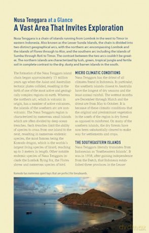 The Ultimate Guide to Diving in Indonesia: Explore the Tropical Seas with the World's Greatest Marine Biodiversity - Sarah Ann Wormald [KSIĄŻKA]