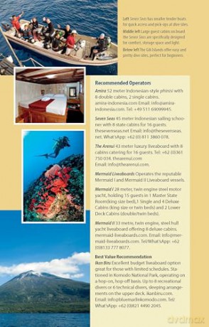 The Ultimate Guide to Diving in Indonesia: Explore the Tropical Seas with the World's Greatest Marine Biodiversity - Sarah Ann Wormald [KSIĄŻKA]