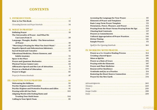 The Uncommon Book of Prayer: A Guide to Co-Creating with the Universe - Heidi Smith [KSIĄŻKA]