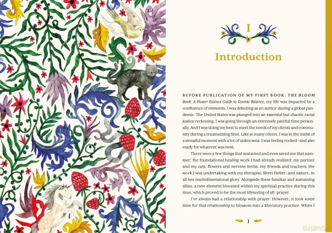 The Uncommon Book of Prayer: A Guide to Co-Creating with the Universe - Heidi Smith [KSIĄŻKA]