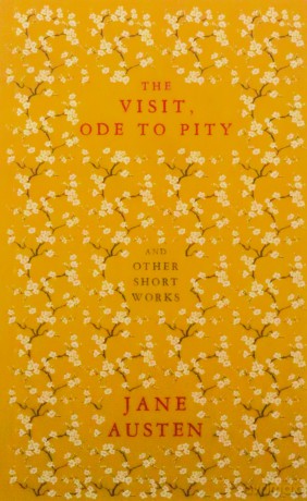 The Visit, Ode to Pity and Other Short Works - Jane Austen [KSIĄŻKA]