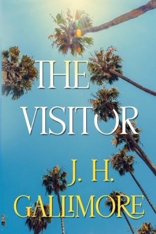 The Visitor - J. H. Gallimore [KSIĄŻKA]