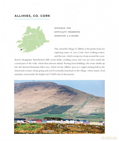 The Walking Effect SHORTLISTED FOR THE IRISH BOOK AWARDS 2025 - Karl Henry [KSIĄŻKA]
