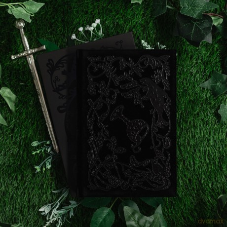 The Wicked King: Collector's Edition - Holly Black [KSIĄŻKA]