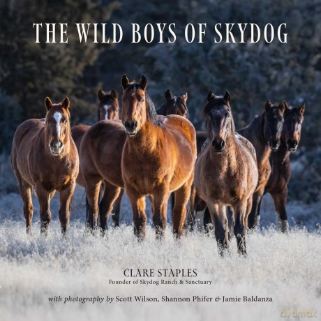 The Wild Boys of Skydog - Clare Staples [KSIĄŻKA]