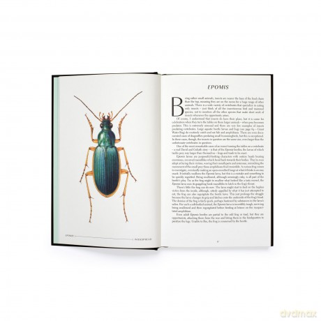 The Wonder of Insects: Uncovering their Hidden World: Fully Illustrated with 70 Stunning Species - Ross Piper [KSIĄŻKA]