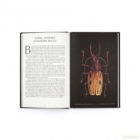 The Wonder of Insects: Uncovering their Hidden World: Fully Illustrated with 70 Stunning Species - Ross Piper [KSIĄŻKA]