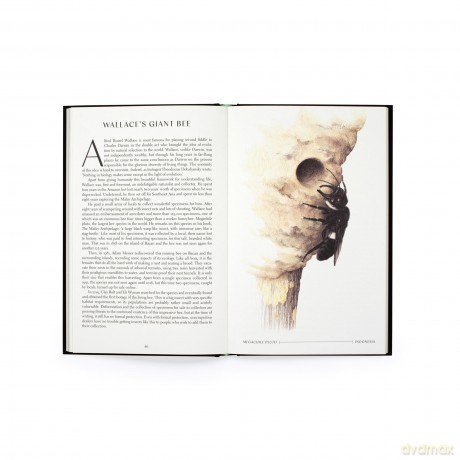 The Wonder of Insects: Uncovering their Hidden World: Fully Illustrated with 70 Stunning Species - Ross Piper [KSIĄŻKA]