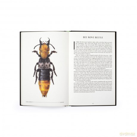 The Wonder of Insects: Uncovering their Hidden World: Fully Illustrated with 70 Stunning Species - Ross Piper [KSIĄŻKA]