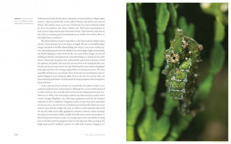 The World Beneath: The Life and Times of Unknown Sea Creatures and Coral Reefs - Dr. Richard Smith [KSIĄŻKA]
