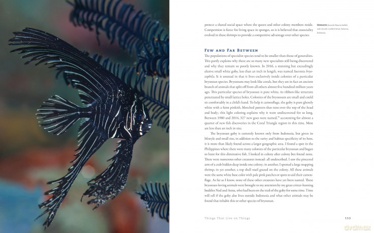 The World Beneath: The Life and Times of Unknown Sea Creatures and Coral Reefs - Dr. Richard Smith [KSIĄŻKA]